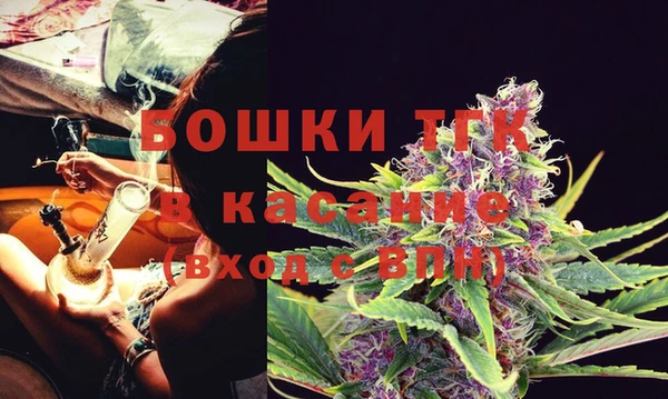 крисы Магадан