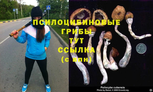 соль курить ск Магас