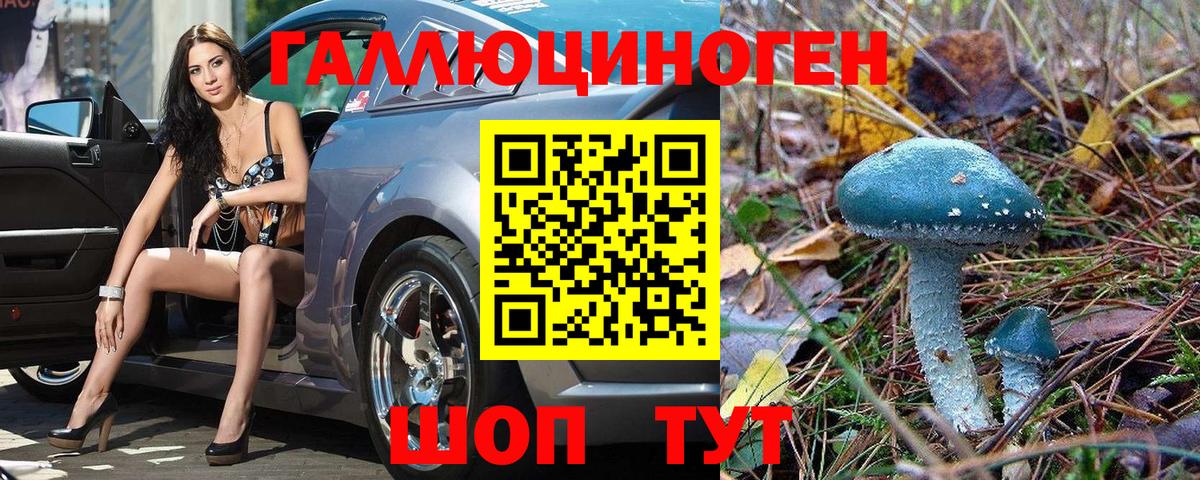 Сатка  Псилоцибиновые грибы Psilocybe  Галлюциногенные грибы Psilocybe  Вход с VPN 