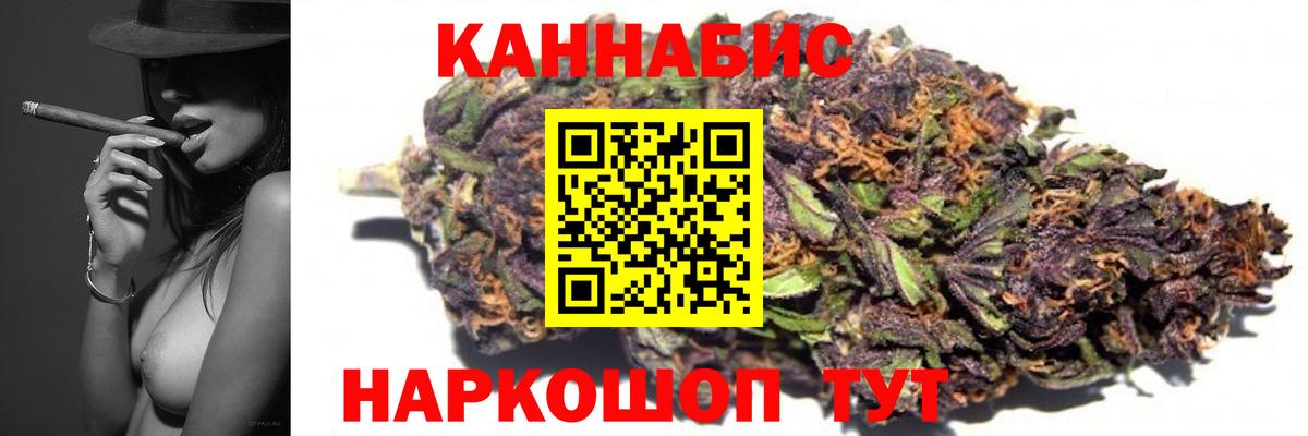 Марихуана сатива Сатка